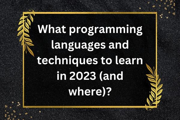 What programming languages and techniques to learn in 2023 (and where)?